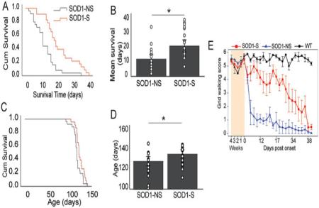 Une critique d'un article sur la stimulation spinale par courant continu dans la SLA