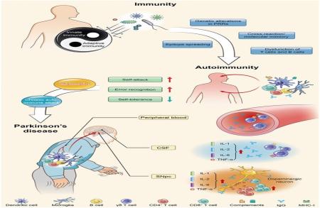 Parkinson's disease can start as an autoimmune disease